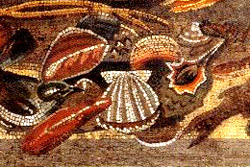 IN MITULIS (Sea Mussels)